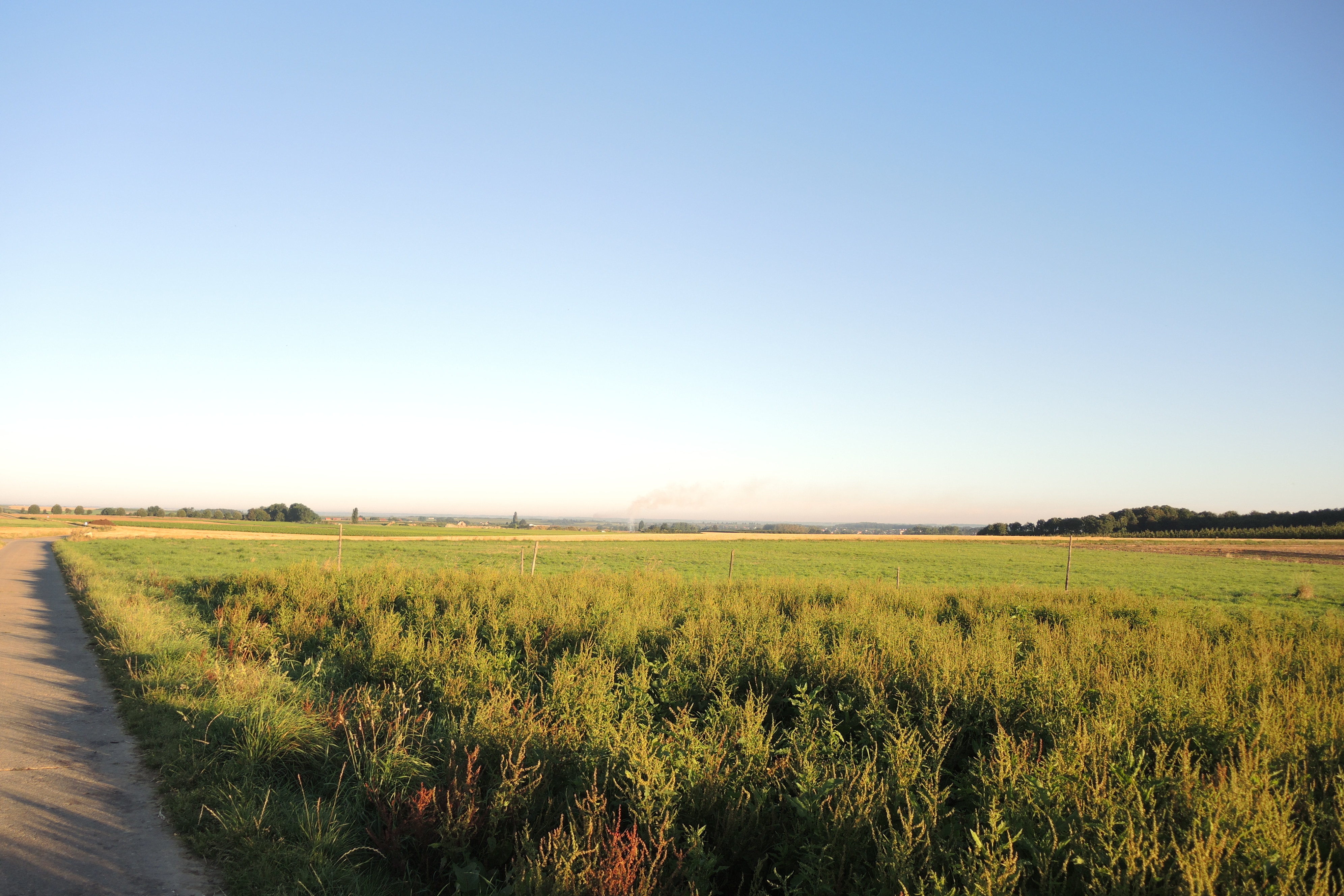 Foto Fietsroutenetwerk