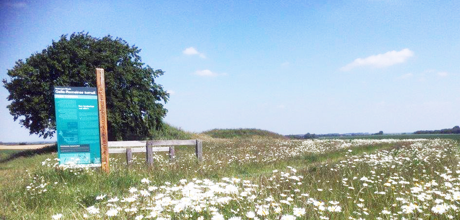 Foto Tumuli wandelingen