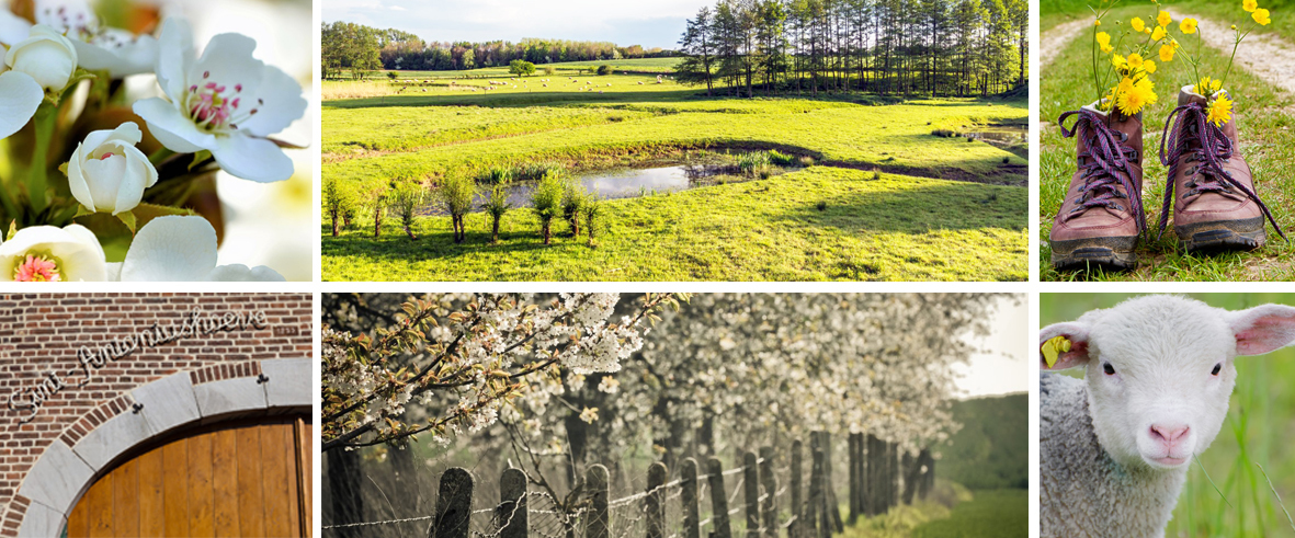 Fotocollage wandelroute Niel